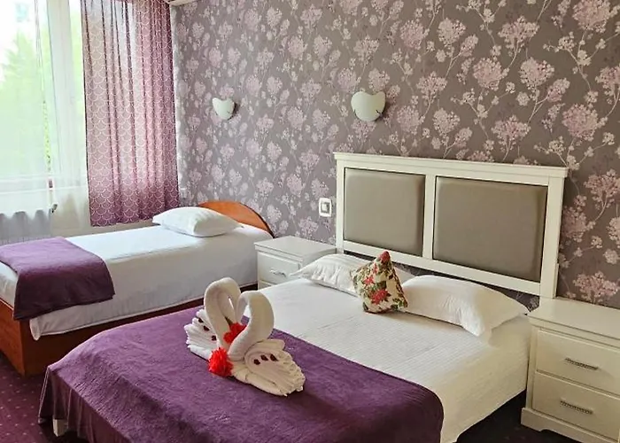 Olimp Otel 3*